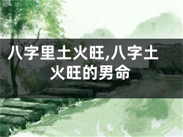 八字里土火旺,八字土火旺的男命