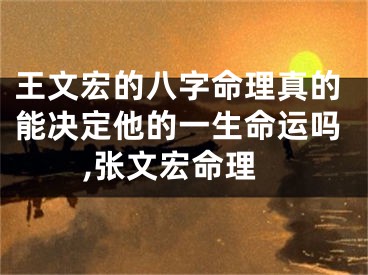 王文宏的八字命理真的能决定他的一生命运吗,张文宏命理