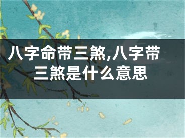 八字命带三煞,八字带三煞是什么意思
