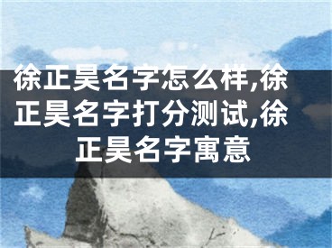徐正昊名字怎么样,徐正昊名字打分测试,徐正昊名字寓意