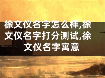 徐文仪名字怎么样,徐文仪名字打分测试,徐文仪名字寓意