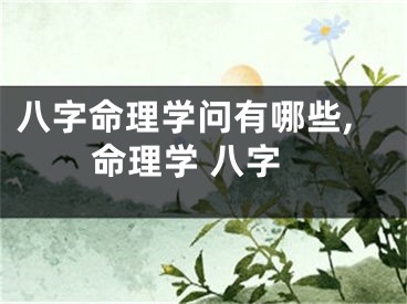 八字命理学问有哪些,命理学 八字