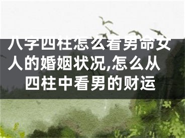 八字四柱怎么看男命女人的婚姻状况,怎么从四柱中看男的财运