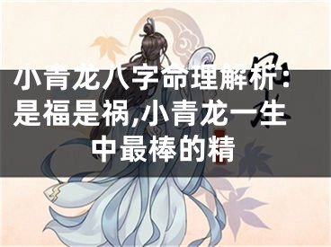 小青龙八字命理解析：是福是祸,小青龙一生中最棒的精