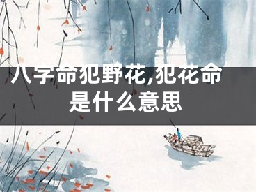 八字命犯野花,犯花命是什么意思