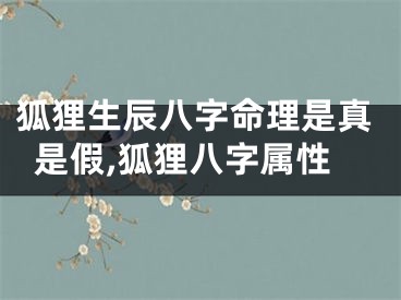 狐狸生辰八字命理是真是假,狐狸八字属性