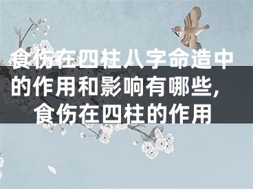 食伤在四柱八字命造中的作用和影响有哪些,食伤在四柱的作用