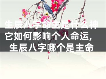 生辰八字命主是什么神它如何影响个人命运,生辰八字哪个是主命