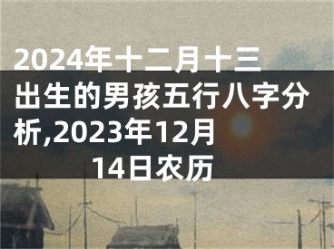 2024年十二月十三出生的男孩五行八字分析,2023年12月14日农历