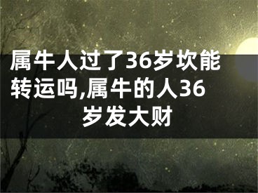属牛人过了36岁坎能转运吗,属牛的人36岁发大财