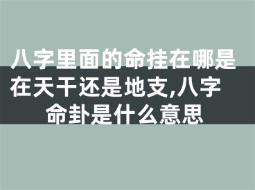 八字里面的命挂在哪是在天干还是地支,八字命卦是什么意思