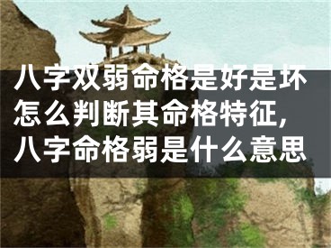 八字双弱命格是好是坏怎么判断其命格特征,八字命格弱是什么意思