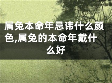 属兔本命年忌讳什么颜色,属兔的本命年戴什么好