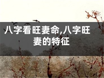 八字看旺妻命,八字旺妻的特征