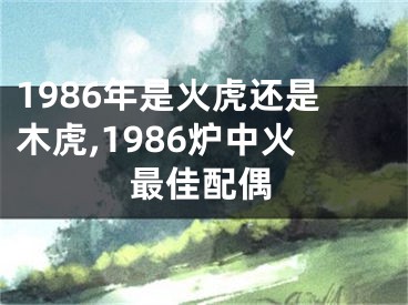 1986年是火虎还是木虎,1986炉中火最佳配偶