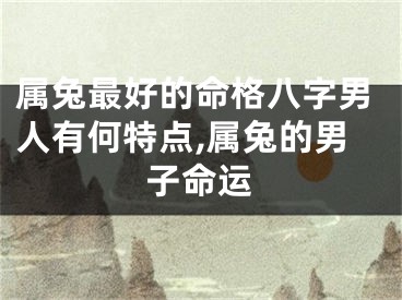 属兔最好的命格八字男人有何特点,属兔的男子命运