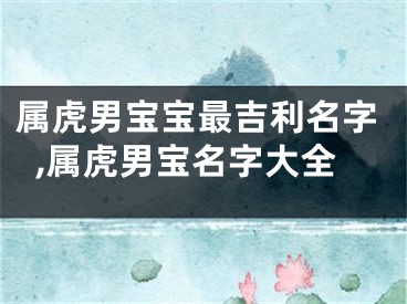 属虎男宝宝最吉利名字,属虎男宝名字大全