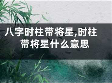 八字时柱带将星,时柱带将星什么意思