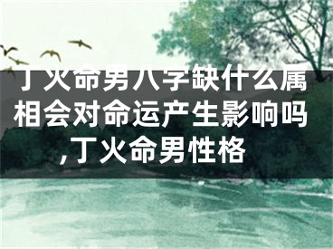 丁火命男八字缺什么属相会对命运产生影响吗,丁火命男性格
