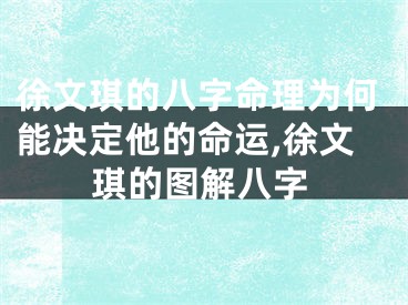 徐文琪的八字命理为何能决定他的命运,徐文琪的图解八字