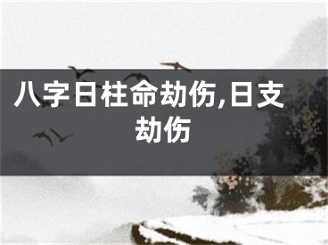 八字日柱命劫伤,日支劫伤