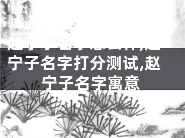 赵宁子名字怎么样,赵宁子名字打分测试,赵宁子名字寓意