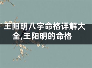 王阳明八字命格详解大全,王阳明的命格