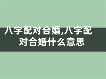 八字配对合婚,八字配对合婚什么意思