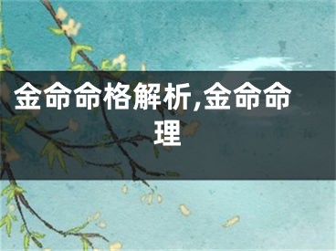 金命命格解析,金命命理