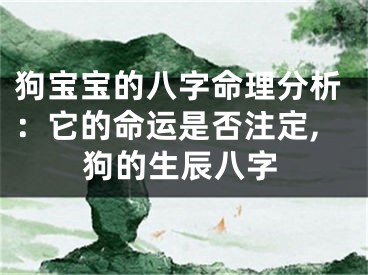 狗宝宝的八字命理分析：它的命运是否注定,狗的生辰八字