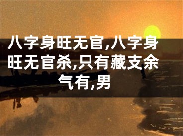 八字身旺无官,八字身旺无官杀,只有藏支余气有,男