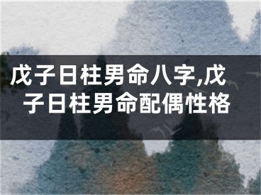 戊子日柱男命八字,戊子日柱男命配偶性格