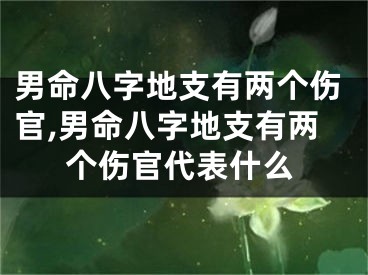 男命八字地支有两个伤官,男命八字地支有两个伤官代表什么