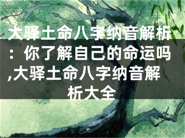 大驿土命八字纳音解析：你了解自己的命运吗,大驿土命八字纳音解析大全