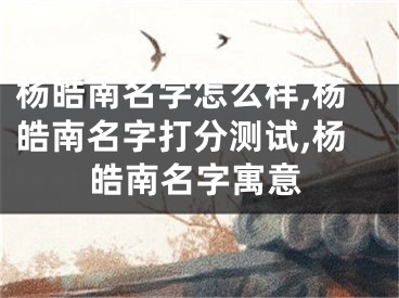 杨皓南名字怎么样,杨皓南名字打分测试,杨皓南名字寓意