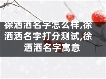 徐洒洒名字怎么样,徐洒洒名字打分测试,徐洒洒名字寓意