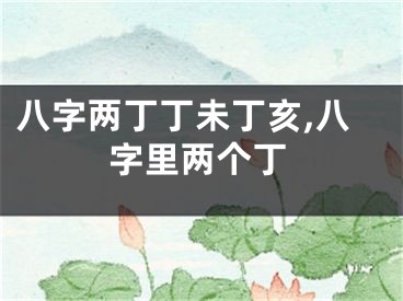 八字两丁丁未丁亥,八字里两个丁