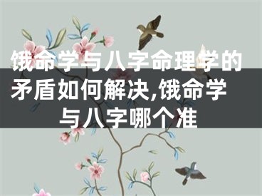 饿命学与八字命理学的矛盾如何解决,饿命学与八字哪个准
