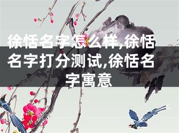 徐恬名字怎么样,徐恬名字打分测试,徐恬名字寓意