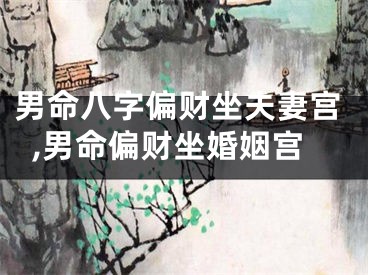 男命八字偏财坐夫妻宫,男命偏财坐婚姻宫