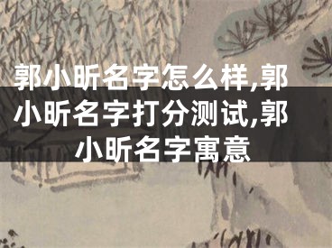 郭小昕名字怎么样,郭小昕名字打分测试,郭小昕名字寓意