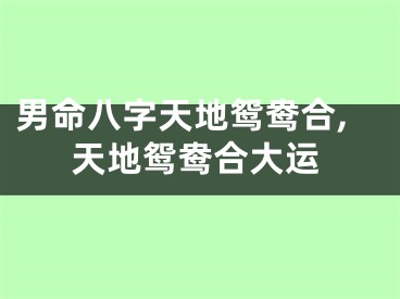 男命八字天地鸳鸯合,天地鸳鸯合大运