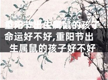 重阳节出生属鼠的孩子命运好不好,重阳节出生属鼠的孩子好不好