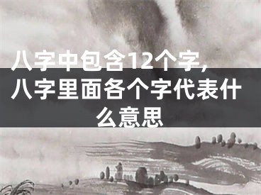 八字中包含12个字,八字里面各个字代表什么意思