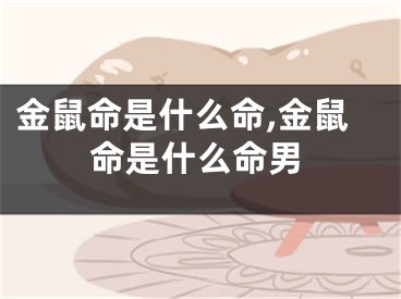 金鼠命是什么命,金鼠命是什么命男