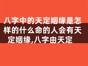 八字中的天定姻缘是怎样的什么命的人会有天定姻缘,八字由天定