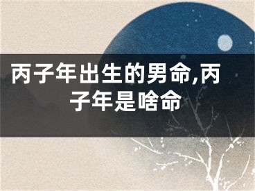 丙子年出生的男命,丙子年是啥命