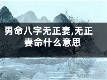 男命八字无正妻,无正妻命什么意思