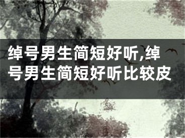 绰号男生简短好听,绰号男生简短好听比较皮