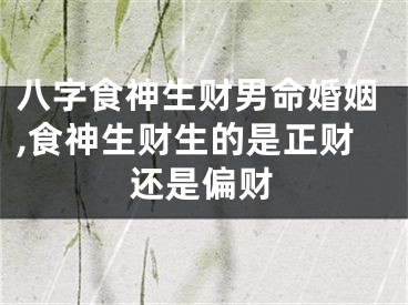 八字食神生财男命婚姻,食神生财生的是正财还是偏财